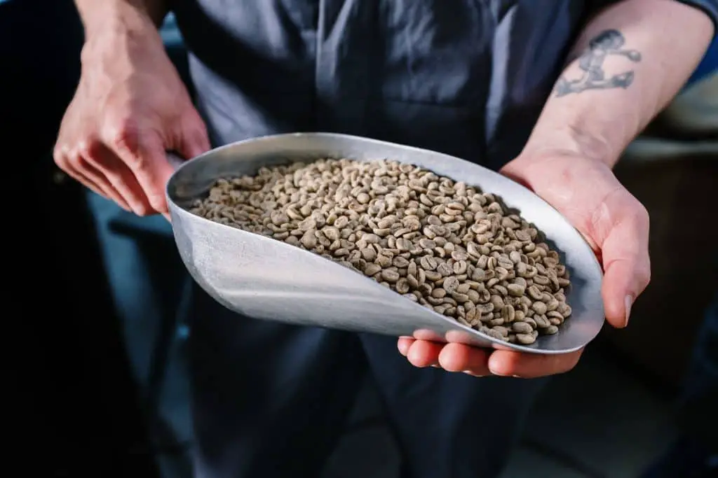 Why are Coffee Beans Roasted Before Grinding? CoffeeCraftCode