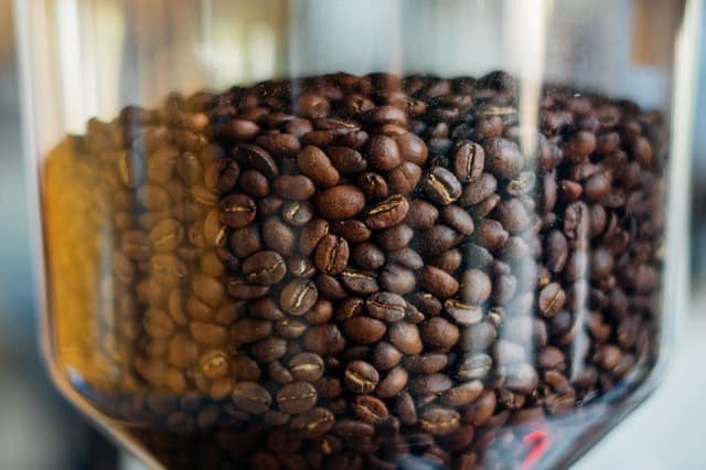 coffee grinder bean holder